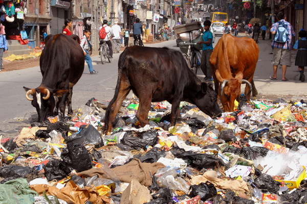 write an essay on garbage management in nepal